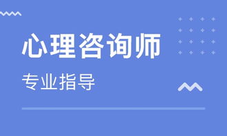 天津心理咨詢師實務(wù)技能培訓(xùn)指南 價格解析與優(yōu)質(zhì)機構(gòu)推薦